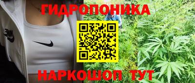 не бодяженный Владимир