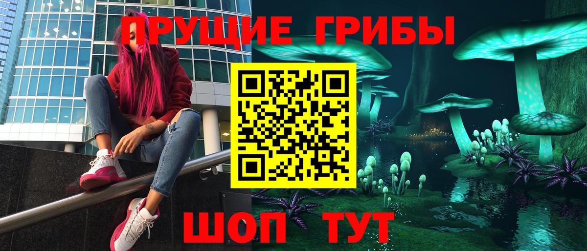 Псилоцибиновые грибы Psilocybine cubensis Богородск